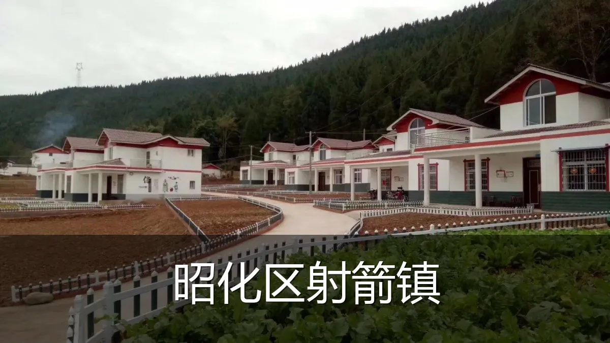 昭化区射箭镇