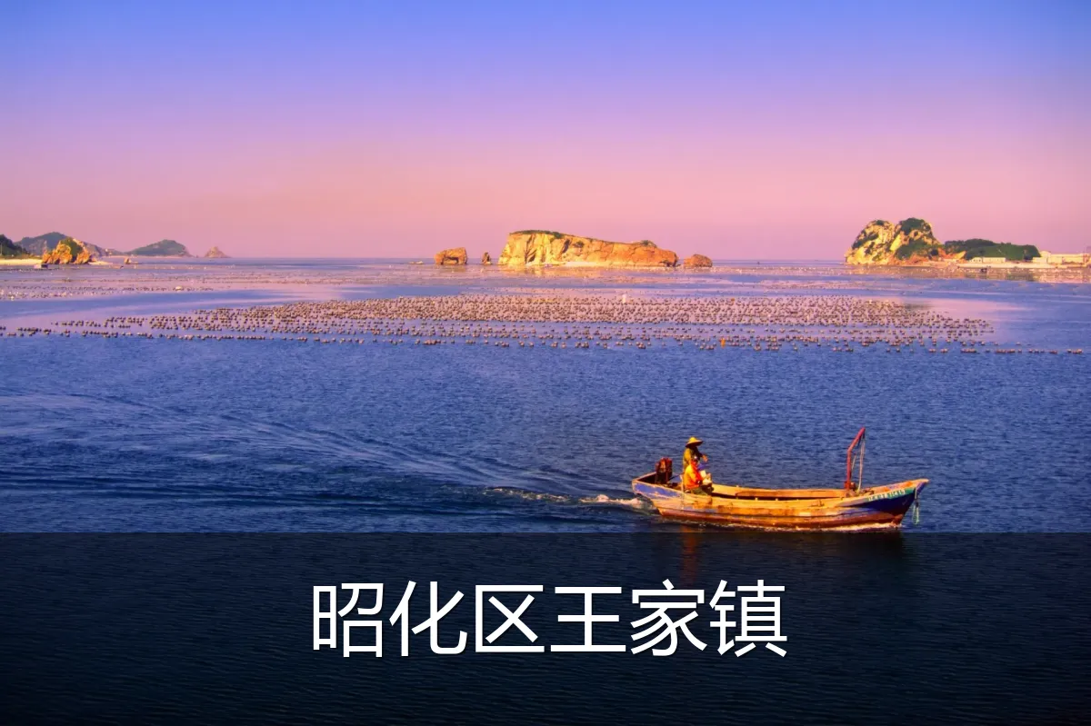 昭化区王家镇