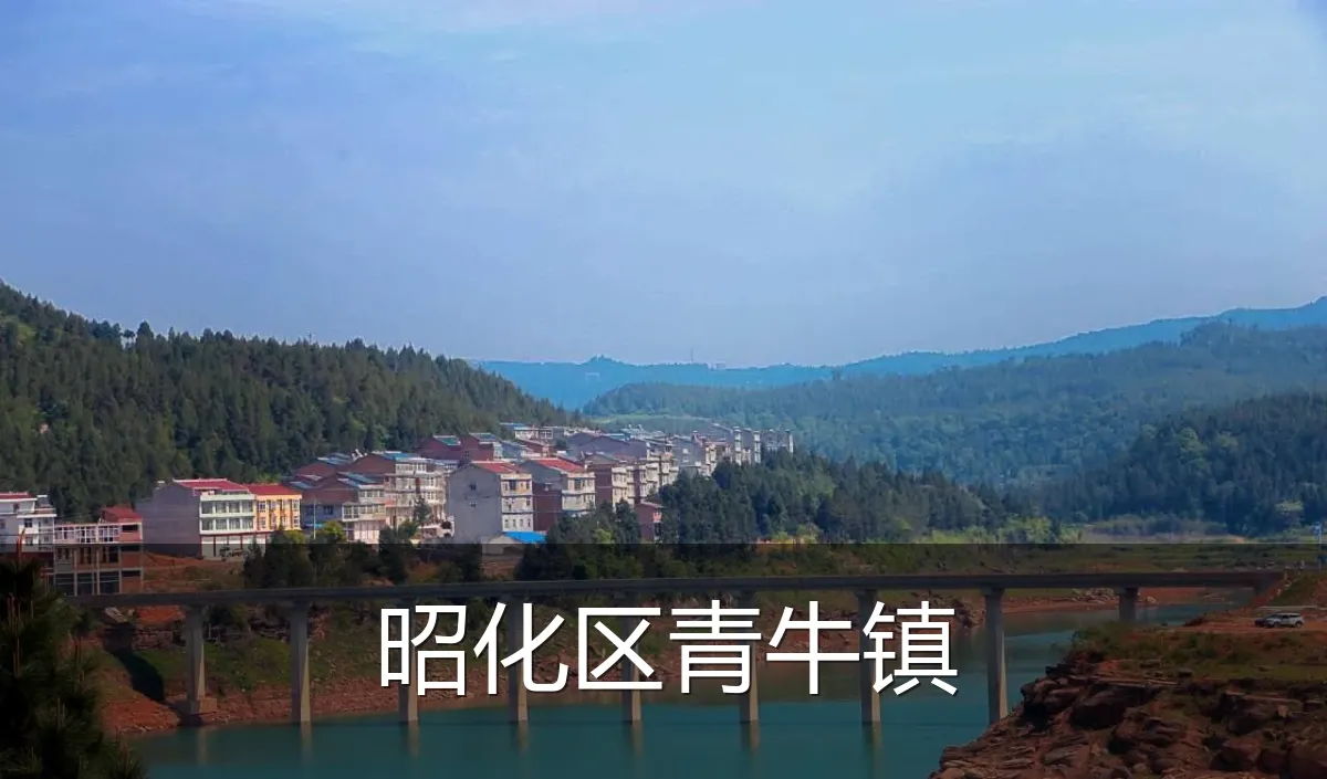 昭化区青牛镇